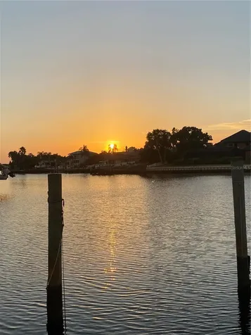 7011 Pelican Island Drive Tampa FL 33634
