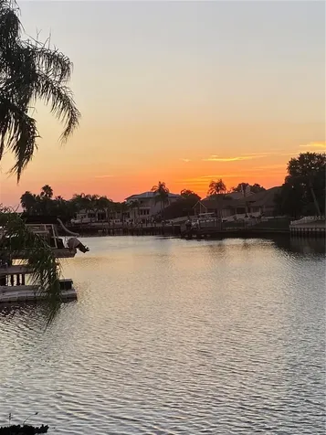7011 Pelican Island Drive Tampa FL 33634