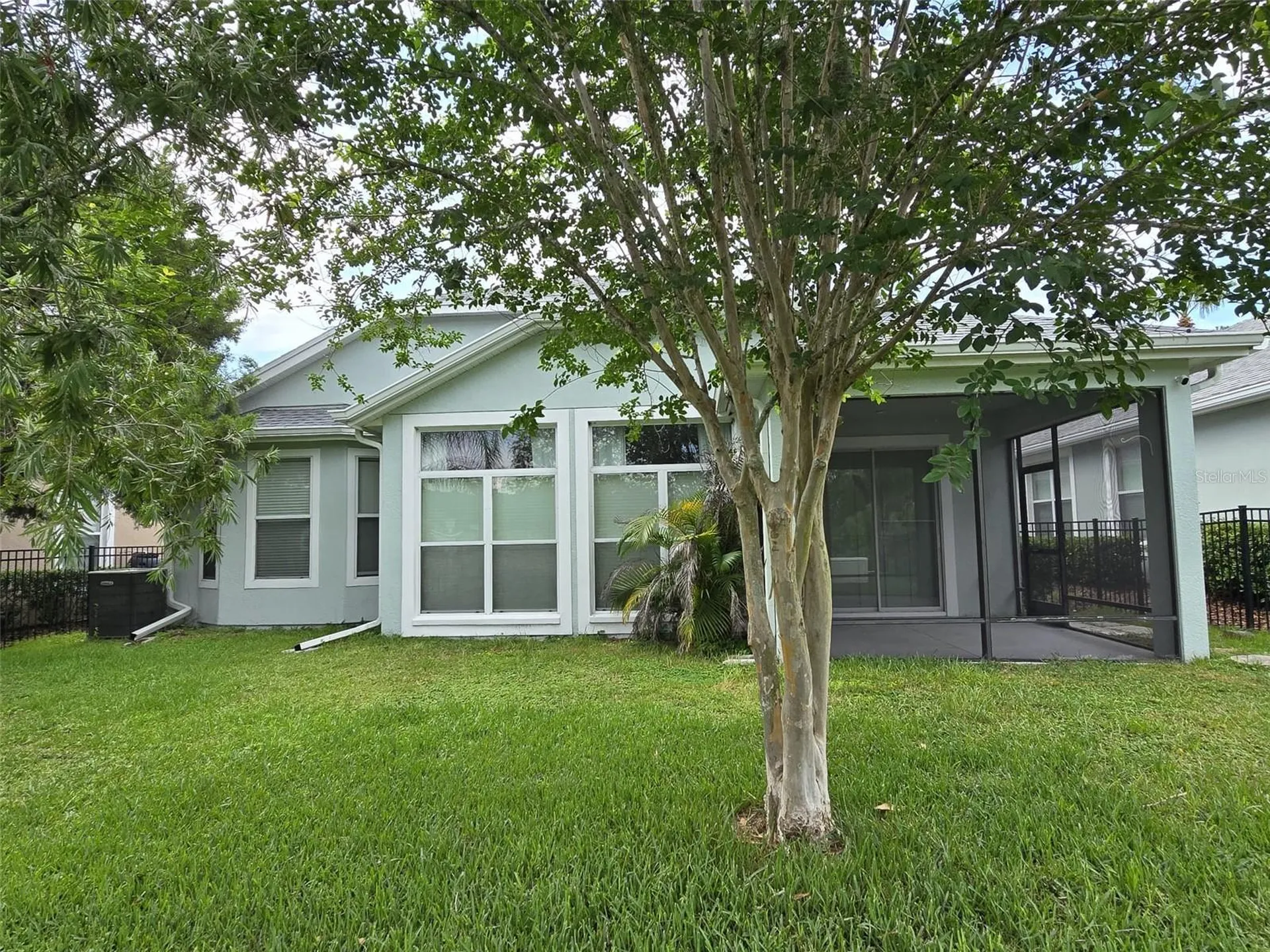 8119 Hampton Lake Drive Tampa FL 33647