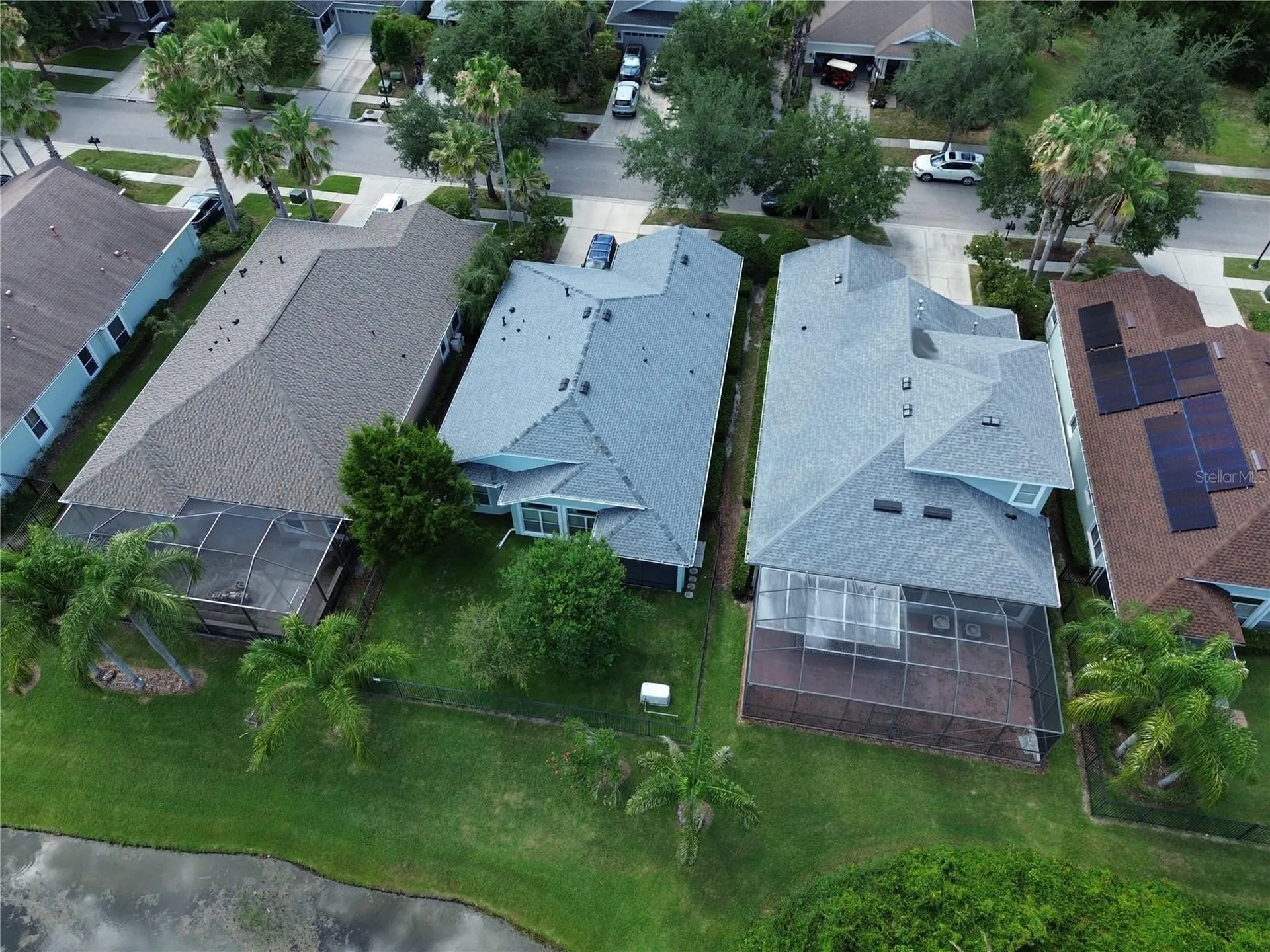 8119 Hampton Lake Drive Tampa FL 33647