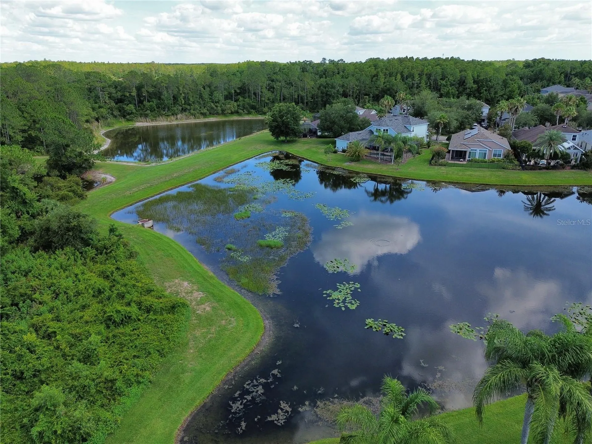 8119 Hampton Lake Drive Tampa FL 33647