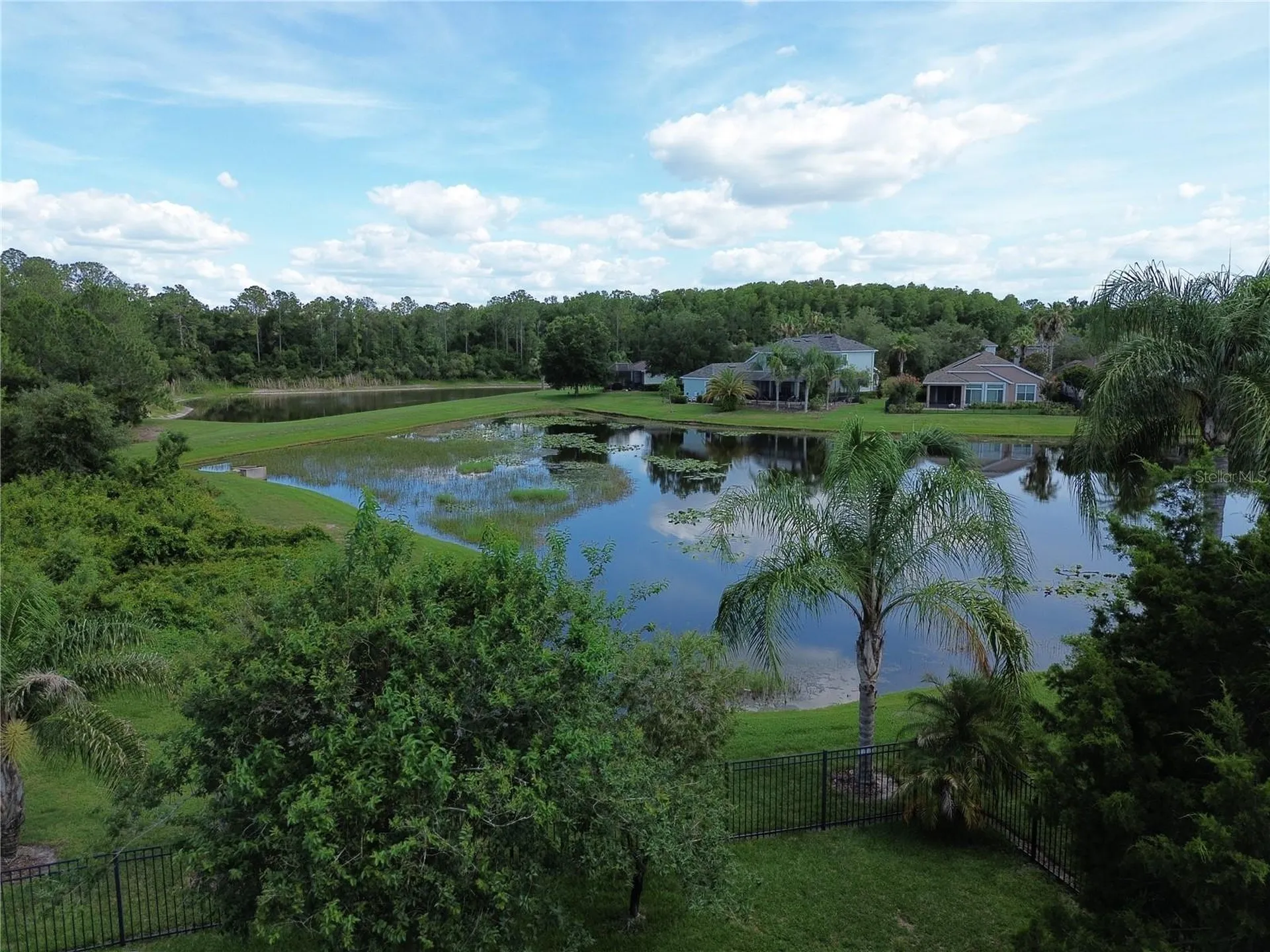 8119 Hampton Lake Drive Tampa FL 33647