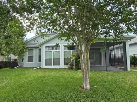 8119 Hampton Lake Drive Tampa FL 33647
