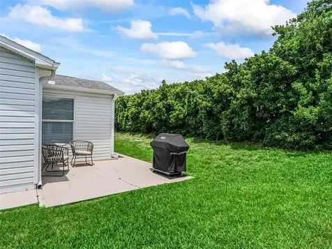 321 San Marino Drive The Villages FL 32159