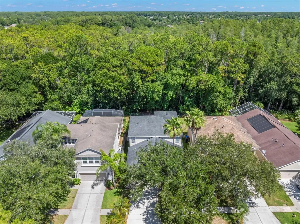 9915 Hartwell Bridge Circle Tampa FL 33626