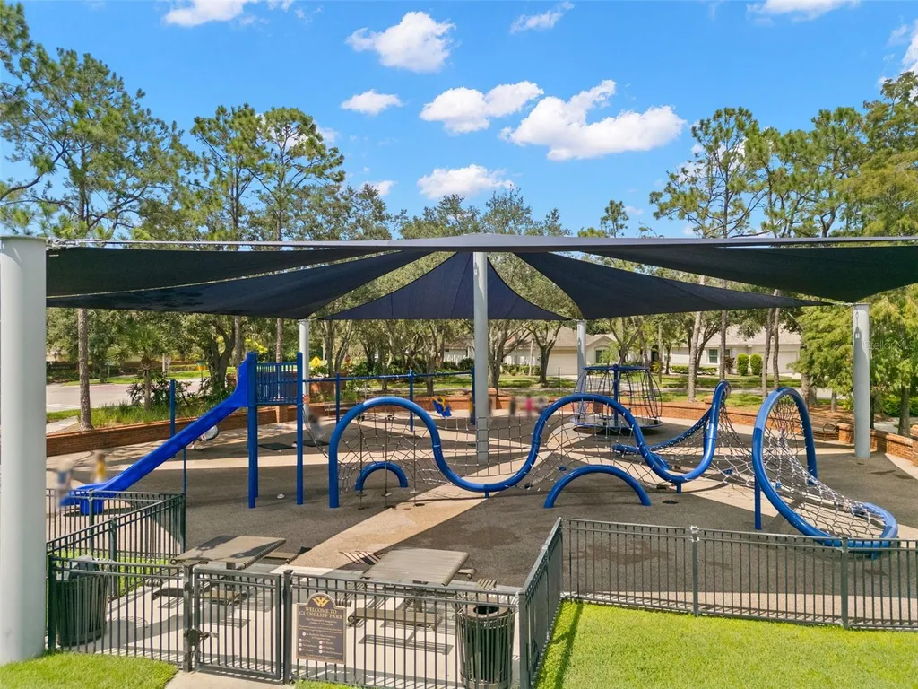 9915 Hartwell Bridge Circle Tampa FL 33626