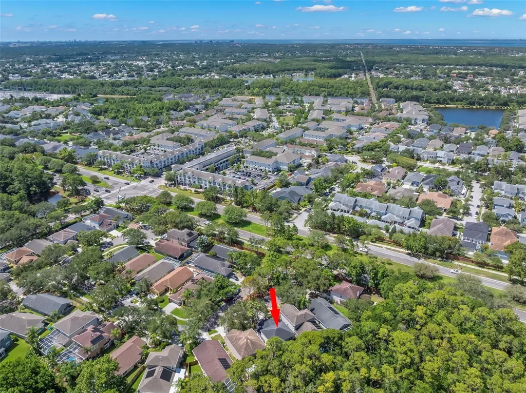 9915 Hartwell Bridge Circle Tampa FL 33626