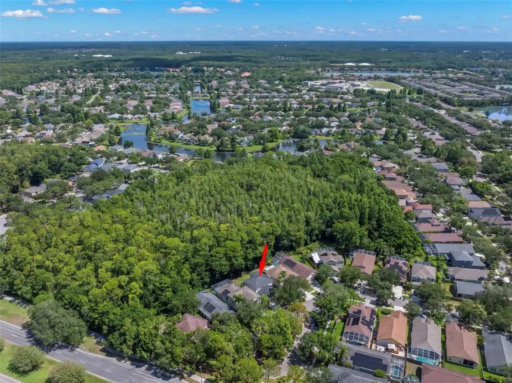 9915 Hartwell Bridge Circle Tampa FL 33626