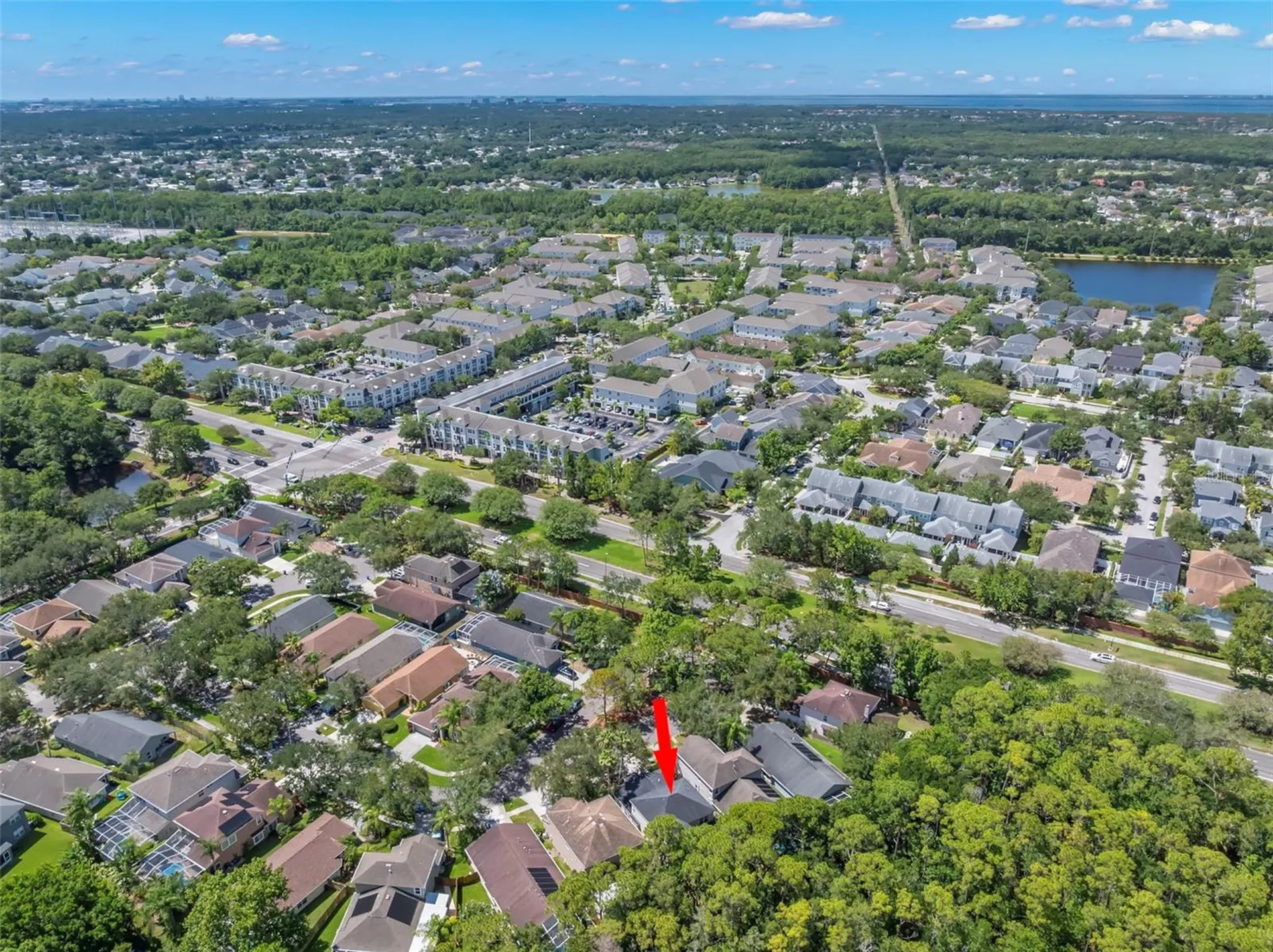 9915 Hartwell Bridge Circle Tampa FL 33626