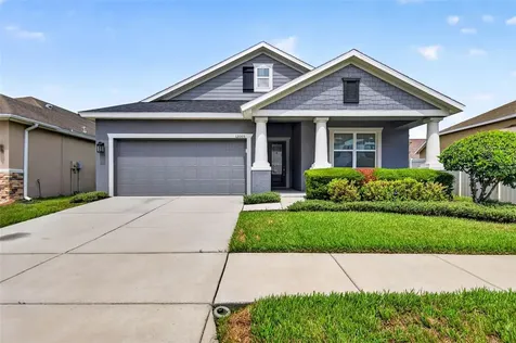 12005 Rambling Stream Drive Riverview FL 33569