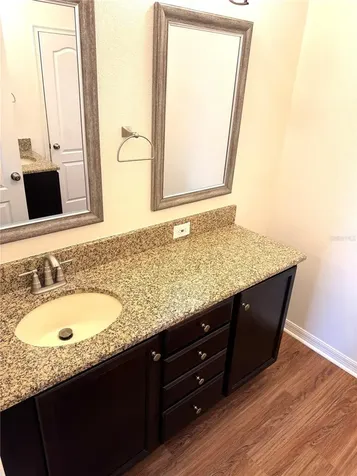 12005 Rambling Stream Drive Riverview FL 33569