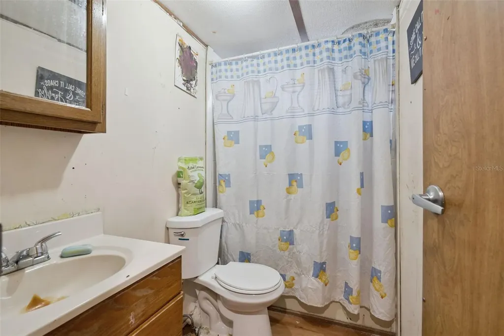 10927 Luana Drive Leesburg FL 34788