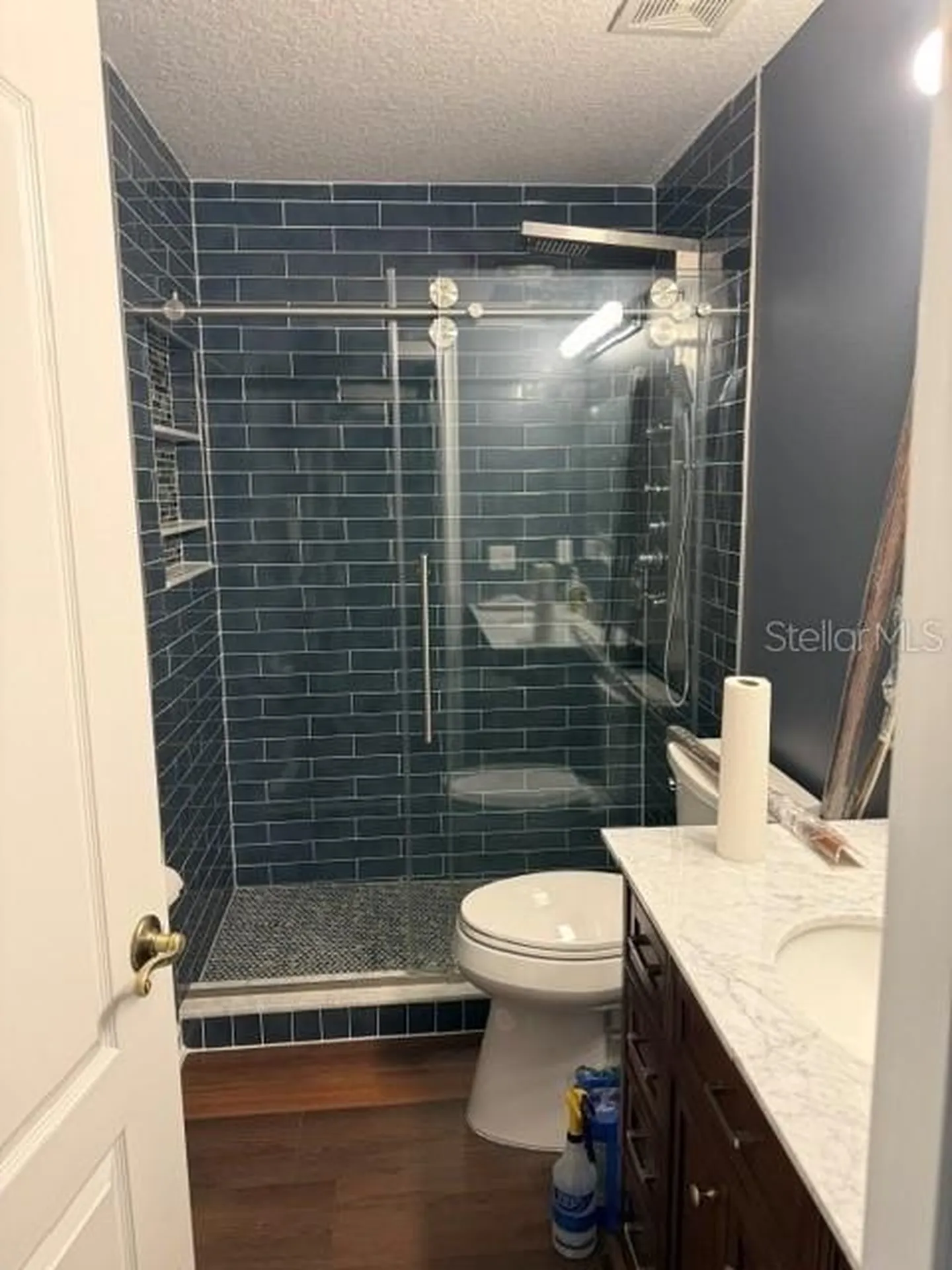 13856 Glynshel Drive Winter Garden FL 34787