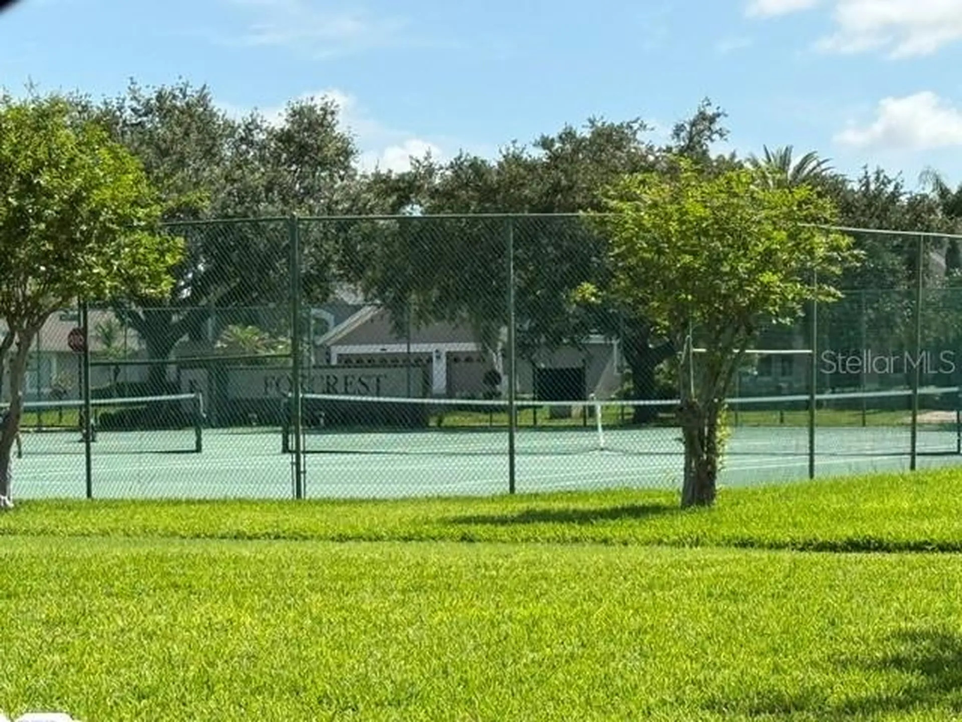 13856 Glynshel Drive Winter Garden FL 34787