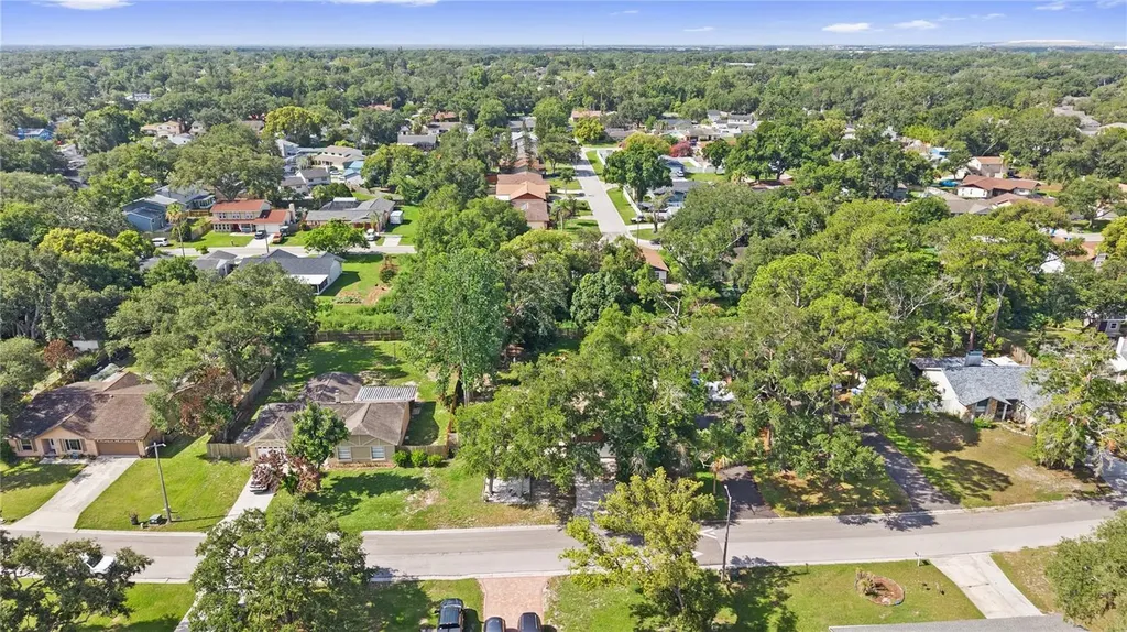 1917 Dove Field Place Brandon FL 33510
