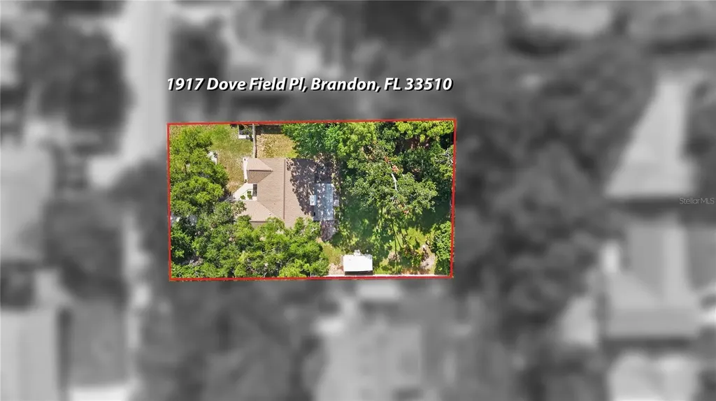1917 Dove Field Place Brandon FL 33510