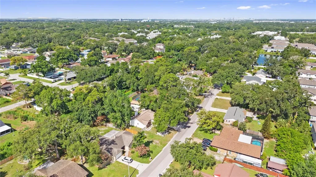 1917 Dove Field Place Brandon FL 33510