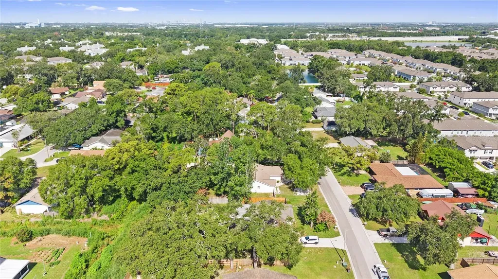1917 Dove Field Place Brandon FL 33510