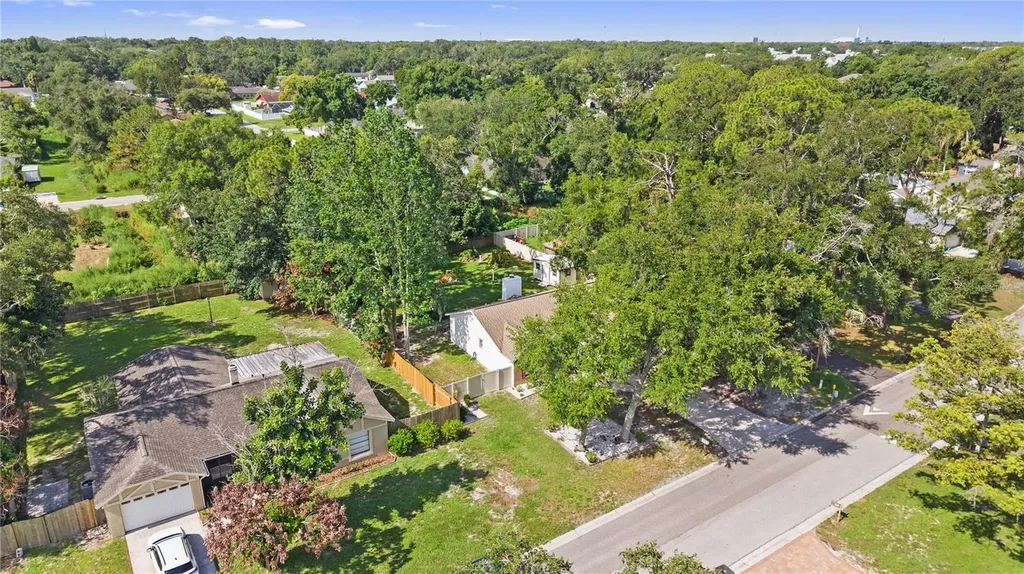 1917 Dove Field Place Brandon FL 33510