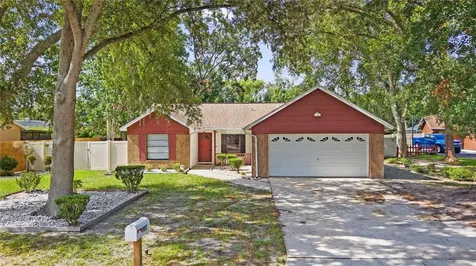 1917 Dove Field Place Brandon FL 33510