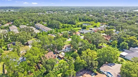 1917 Dove Field Place Brandon FL 33510