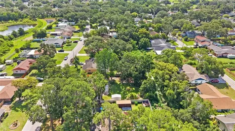 1917 Dove Field Place Brandon FL 33510