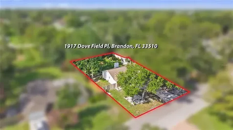 1917 Dove Field Place Brandon FL 33510