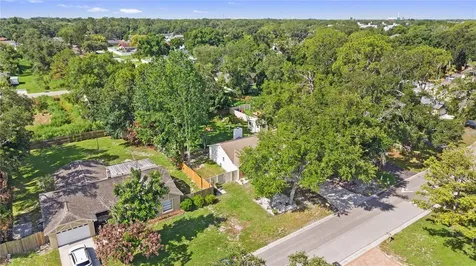 1917 Dove Field Place Brandon FL 33510