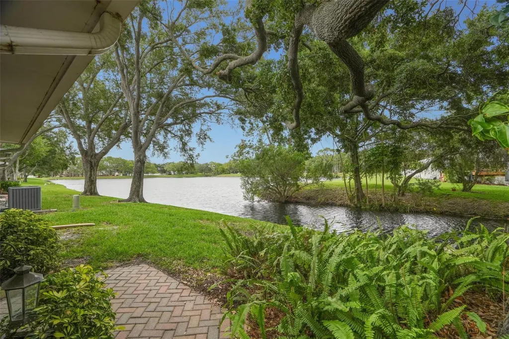 3050 Overlook Place Clearwater FL 33760