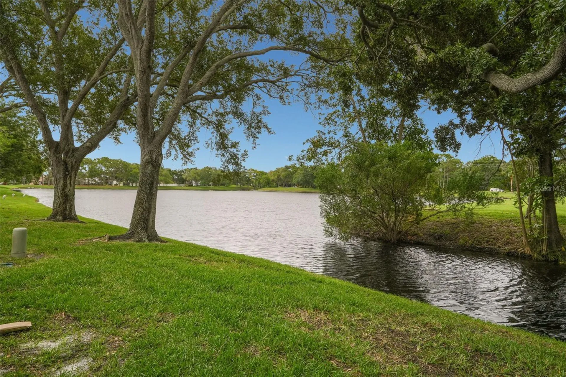 3050 Overlook Place Clearwater FL 33760