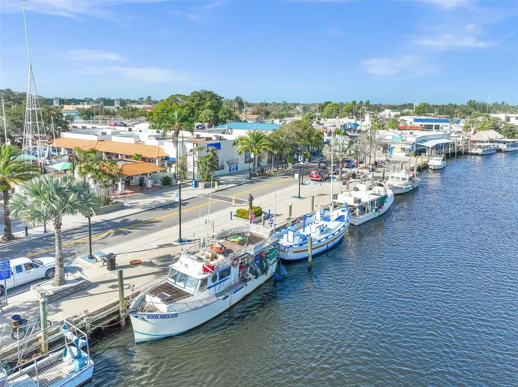 1090 Rolling Oaks Avenue Tarpon Springs FL 34689