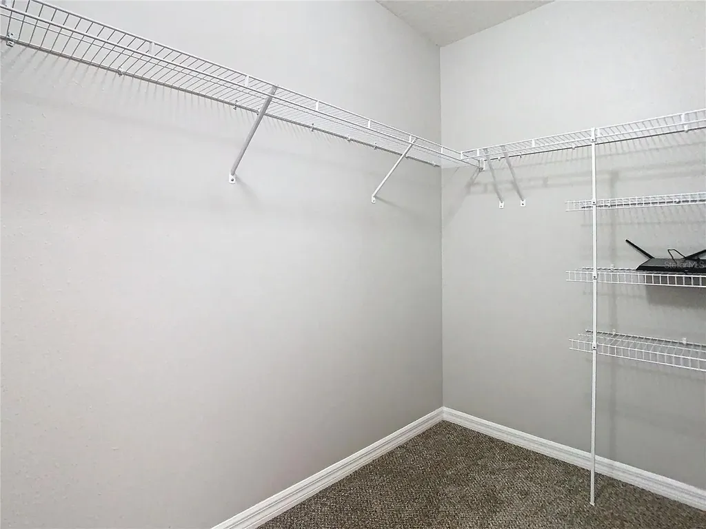 32670 Ansley Bloom Lane Wesley Chapel FL 33543