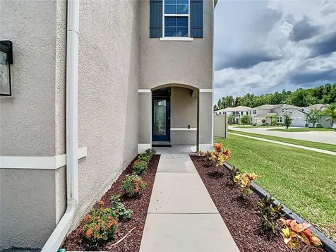 32670 Ansley Bloom Lane Wesley Chapel FL 33543