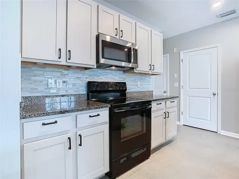 32670 Ansley Bloom Lane Wesley Chapel FL 33543
