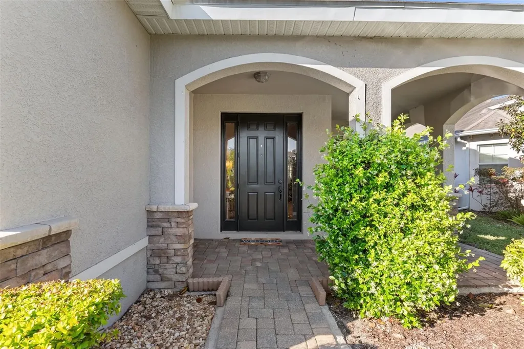19419 Red Sky Court Land O Lakes FL 34638