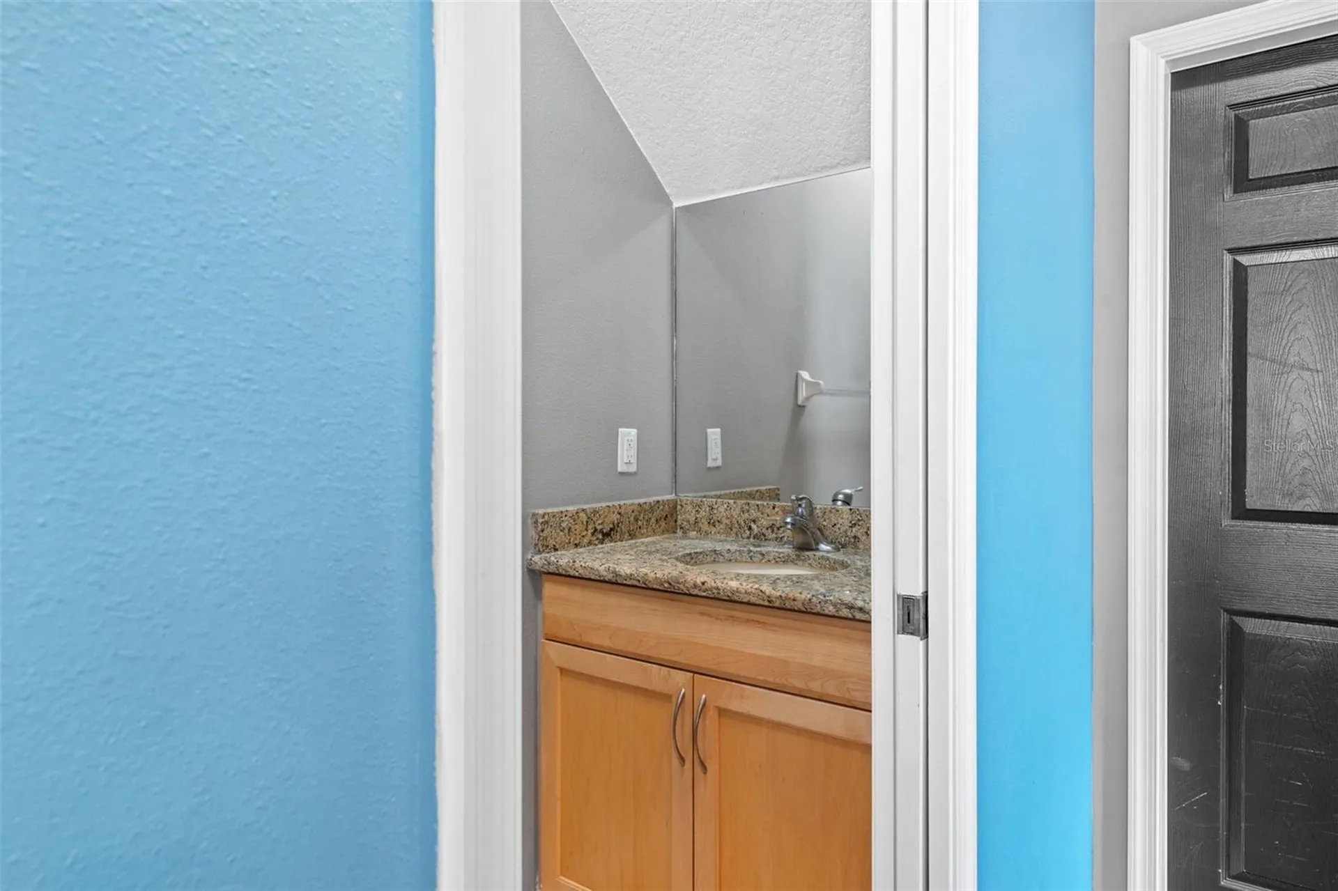 19419 Red Sky Court Land O Lakes FL 34638