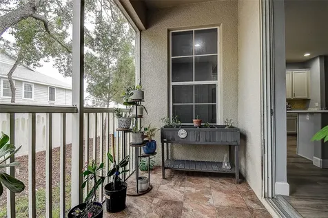 1426 Hillview Lane Tarpon Springs FL 34689