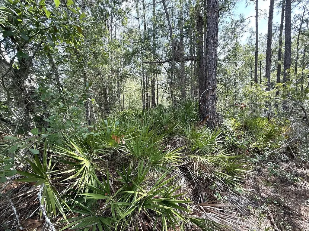 0 Lake Caloosa Landing Frostproof FL 33843