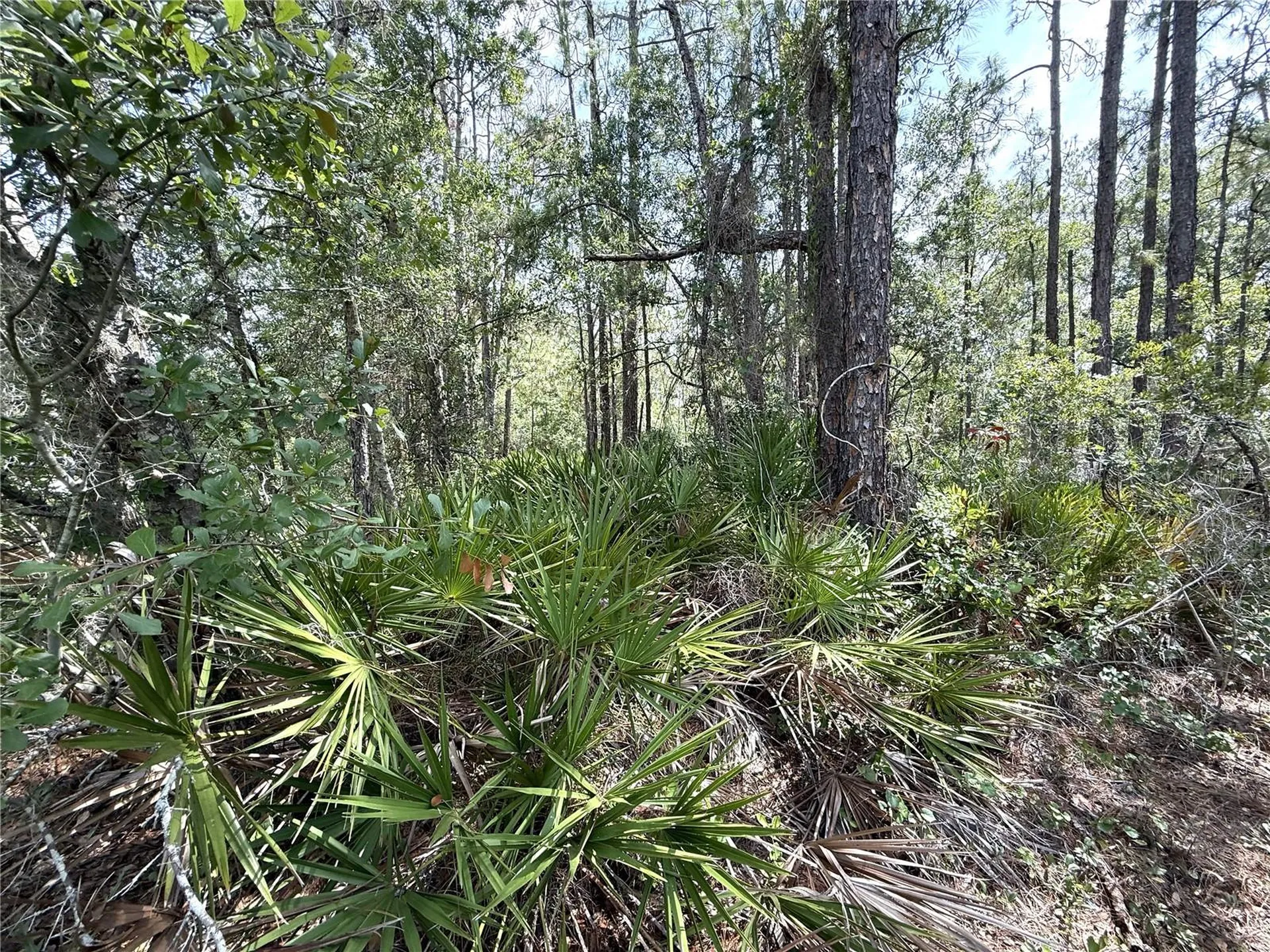 0 Lake Caloosa Landing Frostproof FL 33843
