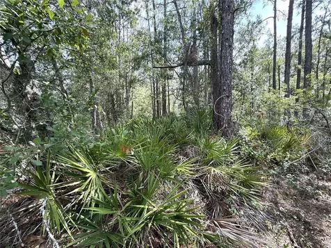 0 Lake Caloosa Landing Frostproof FL 33843