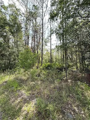 0 Lake Caloosa Landing Frostproof FL 33843