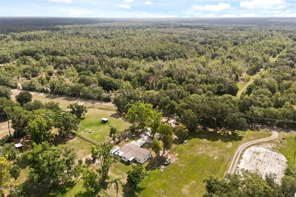 12631 Hobson Simmons Road Lithia FL 33547