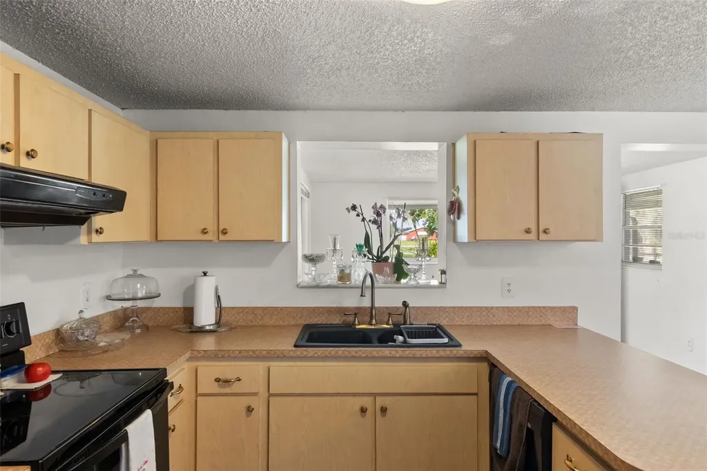 12631 Hobson Simmons Road Lithia FL 33547