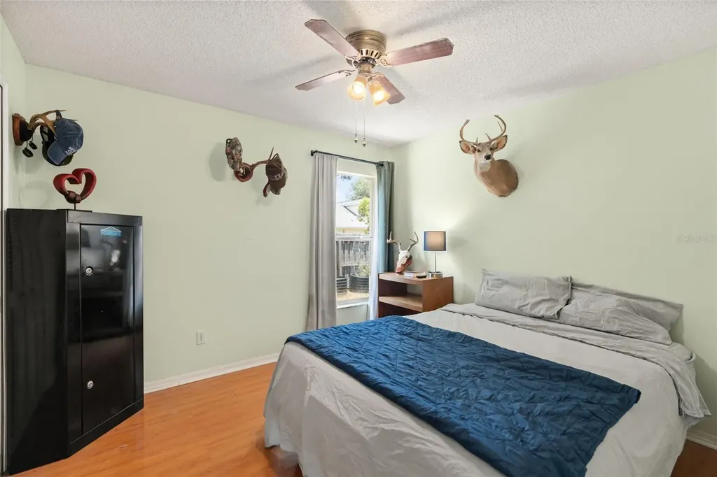 5543 Pine Street Mount Dora FL 32757