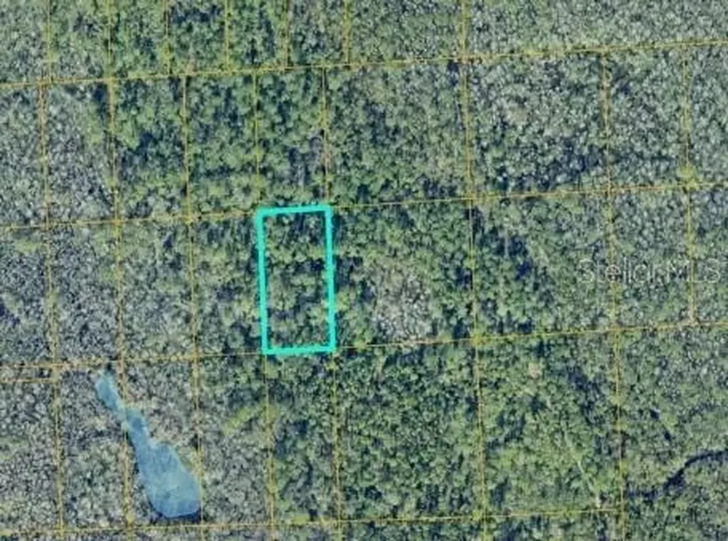 No Street Lake Helen FL 32744