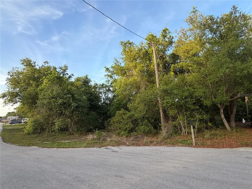 Magnolia Circle Lake Wales FL 33898