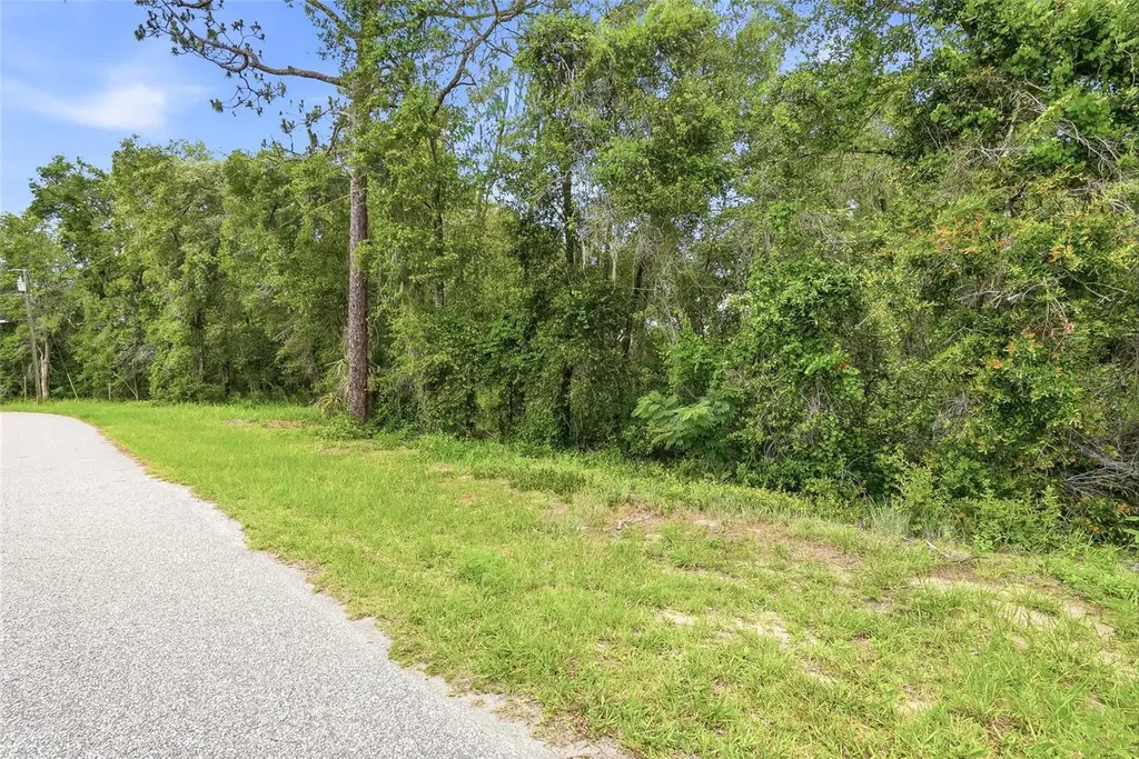7002 N Castlebury Hernando FL 34442