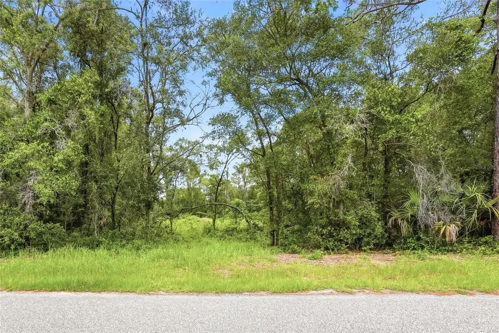 7002 N Castlebury Hernando FL 34442