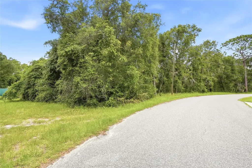 7002 N Castlebury Hernando FL 34442