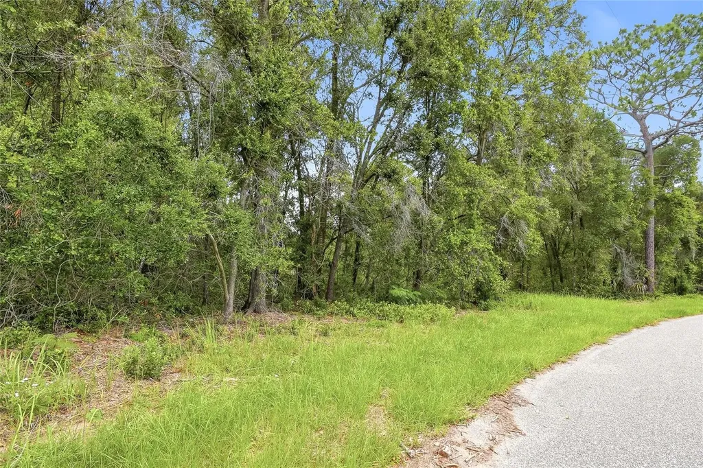 7002 N Castlebury Hernando FL 34442